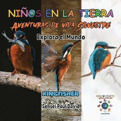 Niños en la Tierra - Aventuras de vida Silvestre - Explora el Mundo Kingfisher - Madagascar