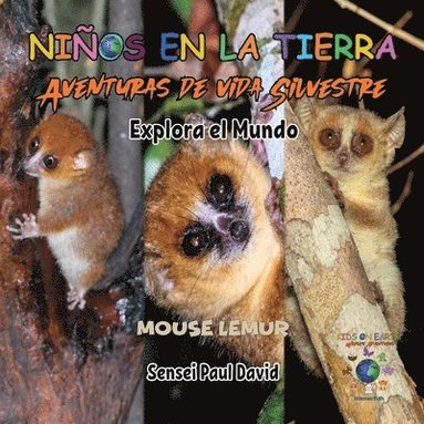 bokomslag Nin&#771;os en la Tierra Aventuras de vida Silvestre - Explora el Mundo Mouse Lemur - Madagascar