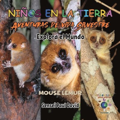 Nin&#771;os en la Tierra Aventuras de vida Silvestre - Explora el Mundo Mouse Lemur - Madagascar 1