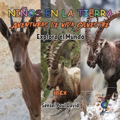 bokomslag Nin?os en la Tierra - Aventuras de vida Silvestre - Explora el Mundo Ibex