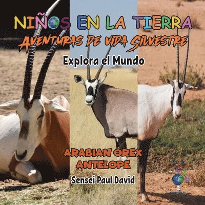 Sensei Paul David - Niños en la Tierra, Häftad