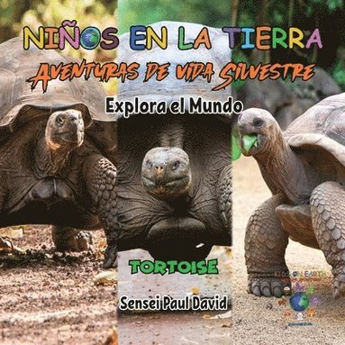 bokomslag Nin&#771;os en la Tierra Aventuras de vida Silvestre - Explora el Mundo Tortoise - Ecuador