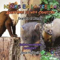 bokomslag Nios en la Tierra - Aventuras de vida Silvestre - Explora el Mundo Euro Marten Rodent