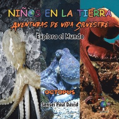 bokomslag Nin&#771;os en la Tierra Aventuras de vida Silvestre - Explora el Mundo Octopus - Maldives