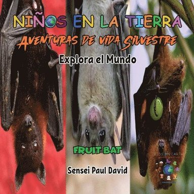 bokomslag Niños en la Tierra - Aventuras de vida Silvestre - Explora el Mundo Fruit Bat