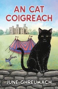 bokomslag An Cat Coigreach