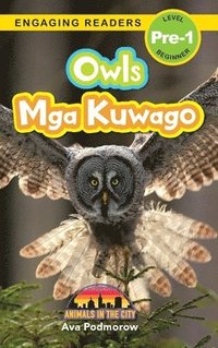 bokomslag Owls