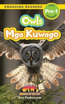 bokomslag Owls