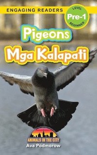 bokomslag Pigeons