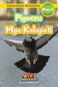 bokomslag Pigeons