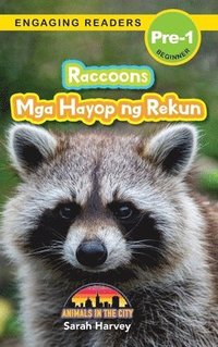 bokomslag Raccoons