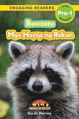 bokomslag Raccoons