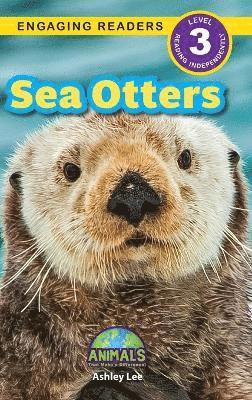 Sea Otters 1