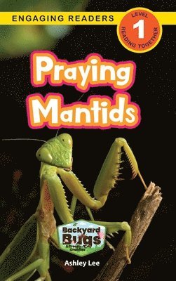 Praying Mantids
