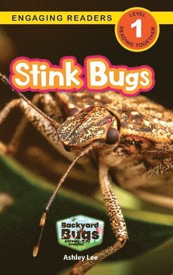 Stink Bugs