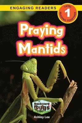 Praying Mantids