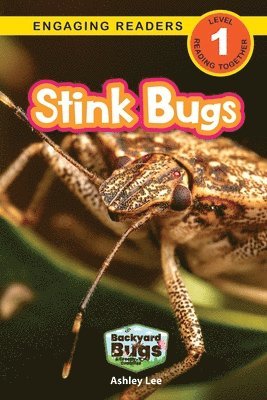 Stink Bugs