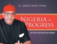bokomslag Nigeria in Progress