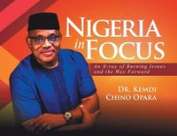 bokomslag Nigeria in Focus