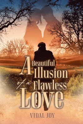 bokomslag A Beautiful Illusion of a Flawless Love