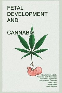 bokomslag Fetal Development and Cannabis