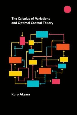 bokomslag The Calculus of Variations and Optimal Control Theory