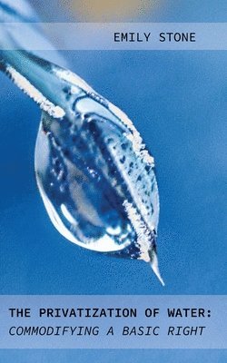 bokomslag Privatization of Water
