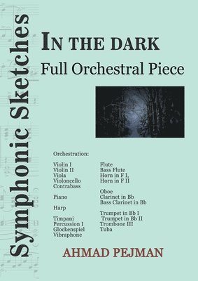 Ahmad Pejman - In The Dark, Häftad