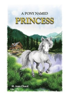 A Pony Named Princess 1