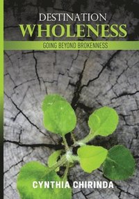 bokomslag Destination Wholeness