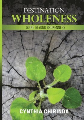 bokomslag Destination Wholeness
