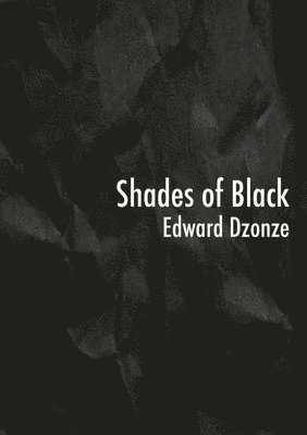 bokomslag Shades of Black