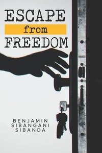 bokomslag Escape From Freedom