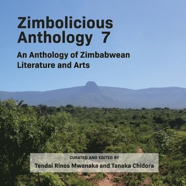 bokomslag Zimbolicious Anthology 7