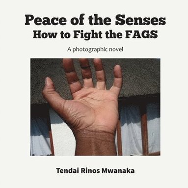 bokomslag Peace of the Senses