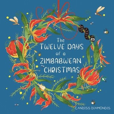 bokomslag The Twelve Days of a Zimbabwean Christmas