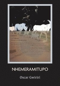 bokomslag Nhemeramitupo