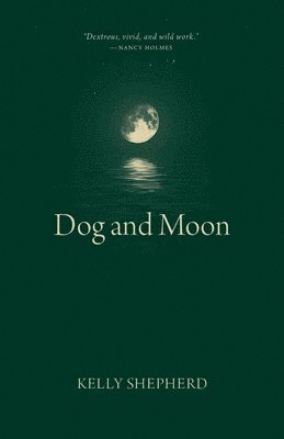 bokomslag Dog and Moon