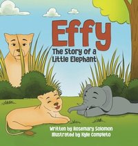 bokomslag Effy