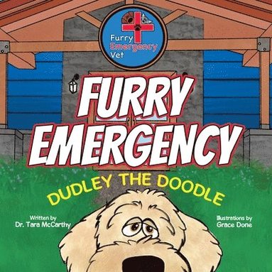 bokomslag Furry Emergency