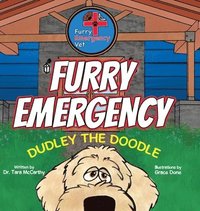 bokomslag Furry Emergency