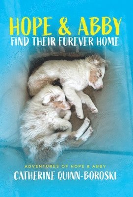 Catherine Quinn-Boroski - Hope & Abby Find Their Furever Home, Inbunden