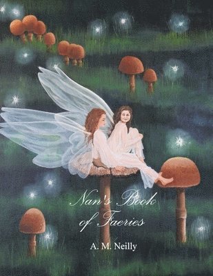 bokomslag Nan's Book of Faeries