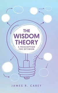 bokomslag The Wisdom Theory: A Prescription for Optimism