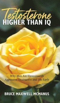 bokomslag Testosterone Higher Than IQ