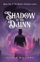 bokomslag Shadow of the Djinn