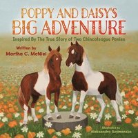 bokomslag Poppy and Daisy's Big Adventure