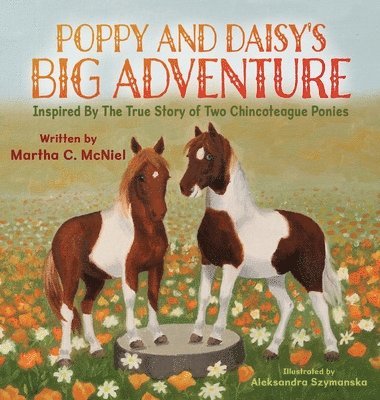 bokomslag Poppy and Daisy's Big Adventure