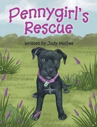 bokomslag Pennygirl's Rescue