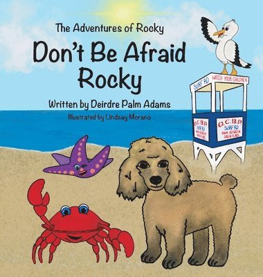 bokomslag The Adventures of Rocky Don't Be Afraid Rocky